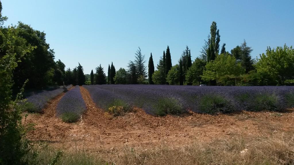Residence Les Rossignols Roussillon en Isere エクステリア 写真