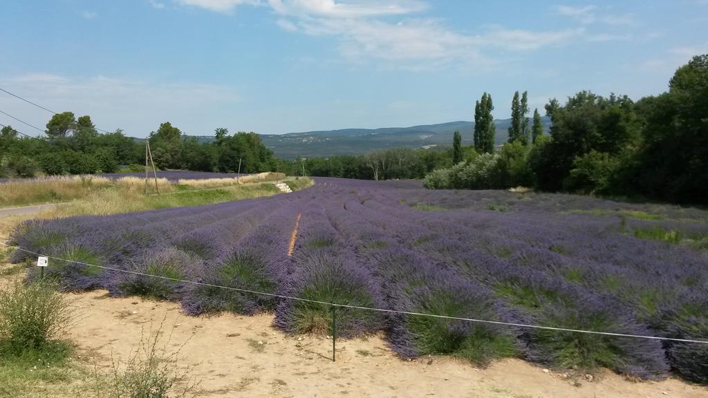 Residence Les Rossignols Roussillon en Isere エクステリア 写真